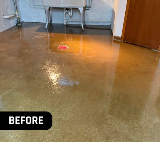 before portrait of homeowner basement with old concrete flooring