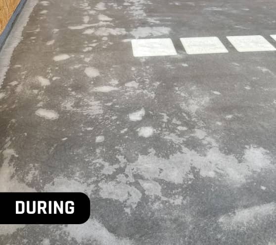 MACH ONE York Epoxy Flake Flooring During Homeowner Project