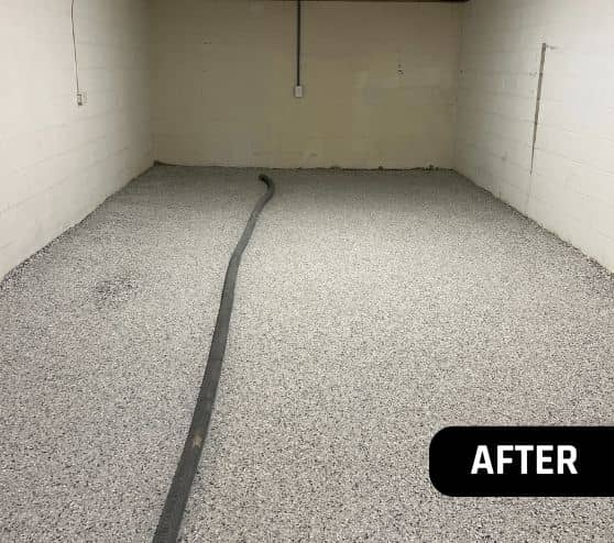front view of Lunar Epoxy Flake Flooring for Homeowner Basement after portrait