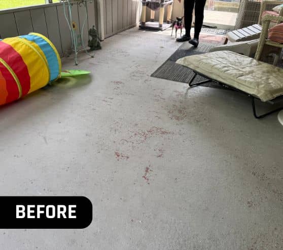 before portrait of sun room with old concrete flooring