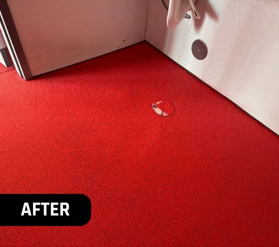 After Epoxy Flake Flooring 5 for Take 5 Oil Change in Chesterfield, MI