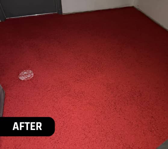 After Epoxy Flake Flooring Coating for Take 5 Oil Change in Chesterfield, MI