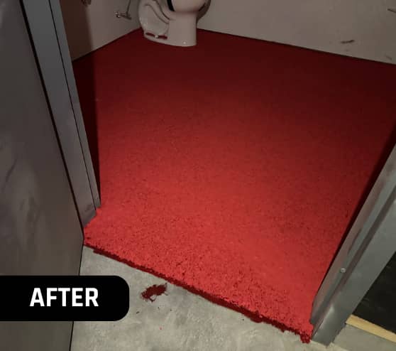 After Epoxy Flake Flooring Crack Repair for Take 5 Oil Change in Chesterfield, MI