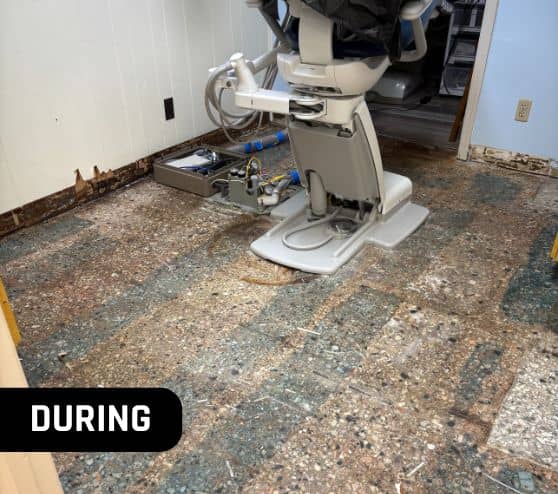 during portrait of MACH ONE® installing flooring for Morrison Dental Group