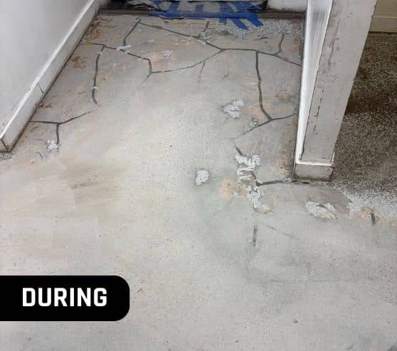 during portrait of steamers flooring in progress