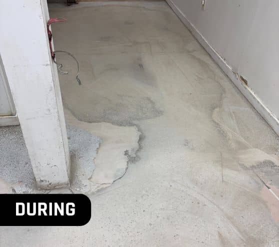 during portrait of steamers flooring