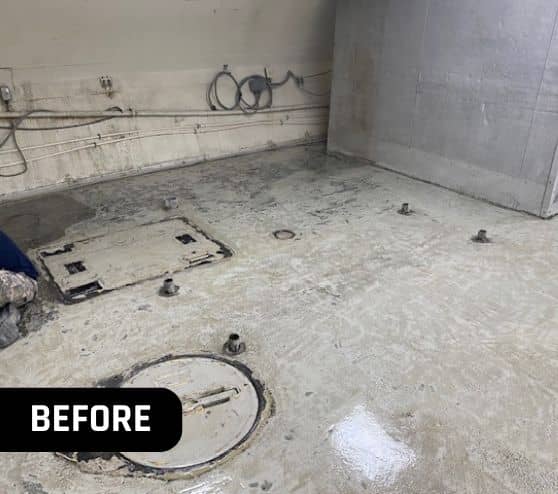 before portrait of Yacht Starship Cruises floor